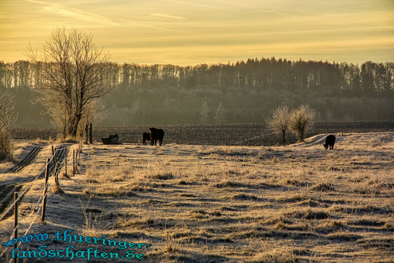 Landschaft bei Gompertshausen