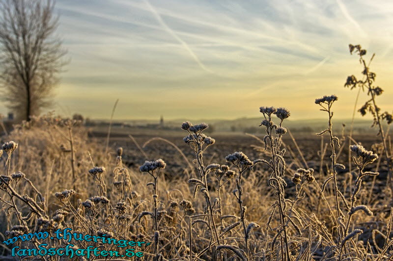 Landschaft bei Gompertshausen