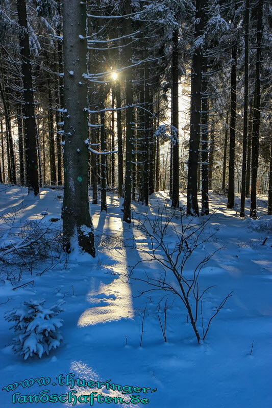 Landschaft bei der Jugendherberge Schnett