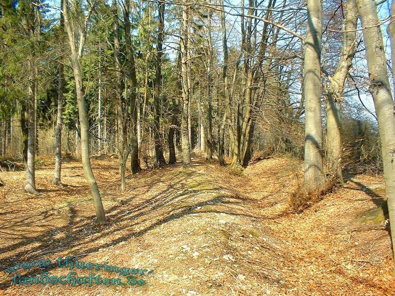 Landwehr zwischen Poppenwind und Wiedersbach