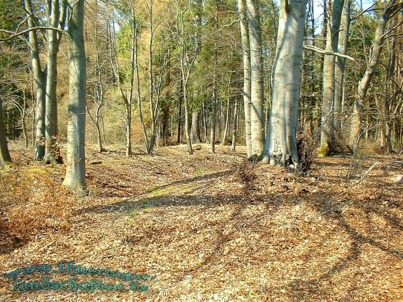 Landwehr zwischen Poppenwind und Wiedersbach