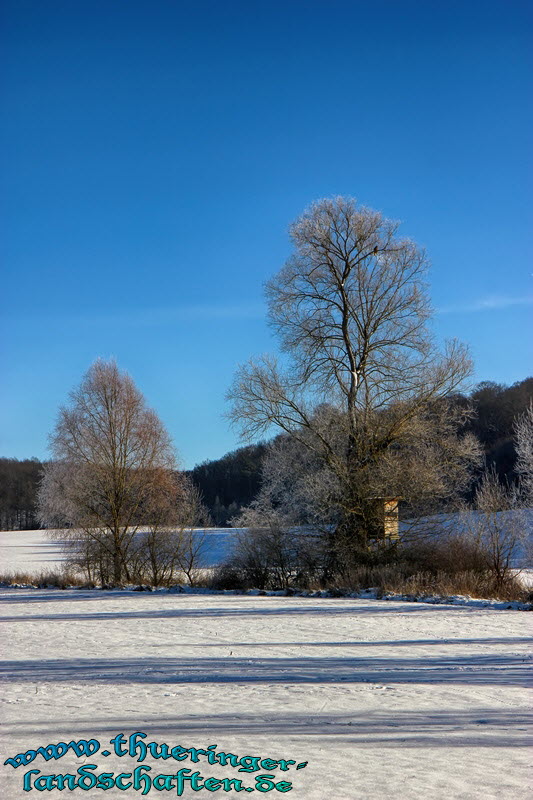 Landschaft bei Seidigenstadt