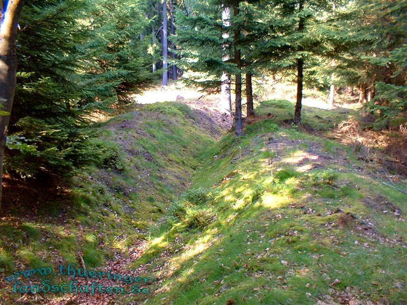 Landwehr auf dem Heckenbhl bei Brden