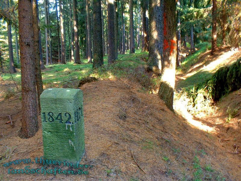 Landwehr auf dem Heckenbhl bei Brden