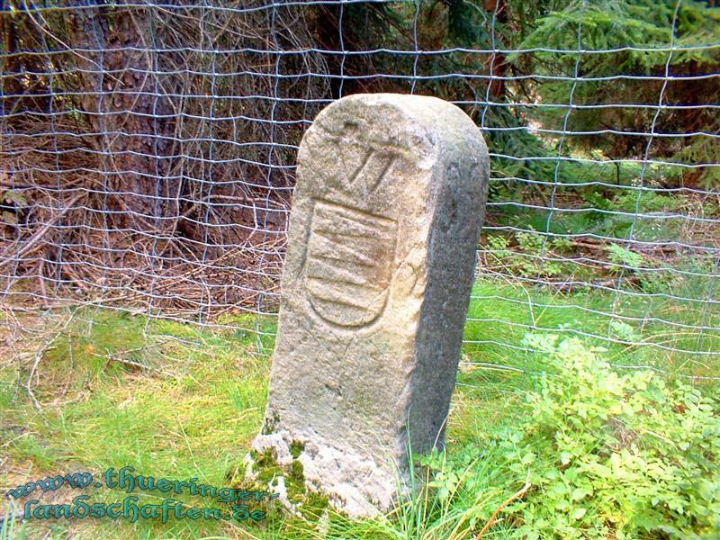 Landwehr auf dem Heckenbhl bei Brden