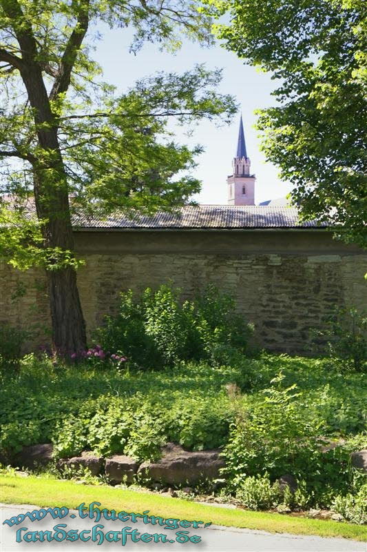 Stadtmauer und Bergkirche