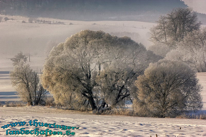 Landschaft bei Henneberg