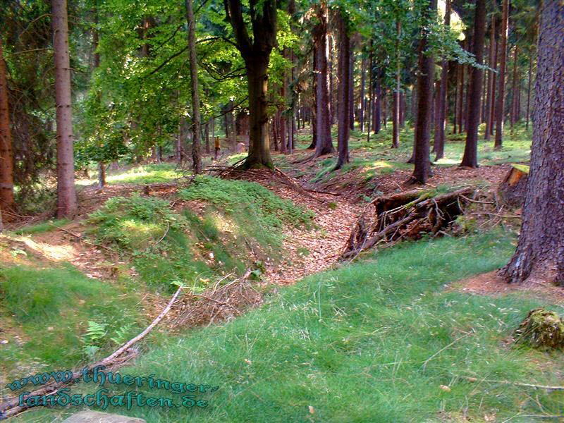 Landwehr auf dem Heckenbhl bei Brden