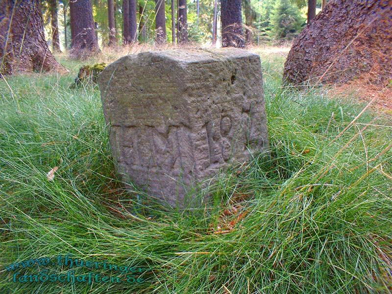 Landwehr auf dem Heckenbhl bei Brden