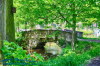 Englischer Garten