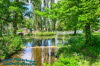 Englischer Garten