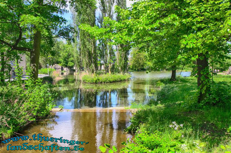 Englischer Garten