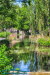 Englischer Garten