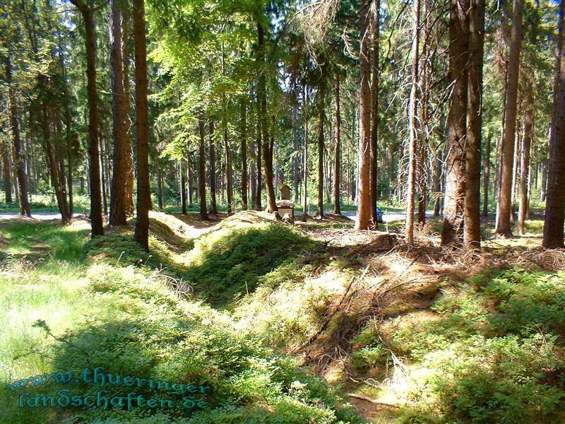 Landwehr zwischen Wiedersbach und Hildburghausen