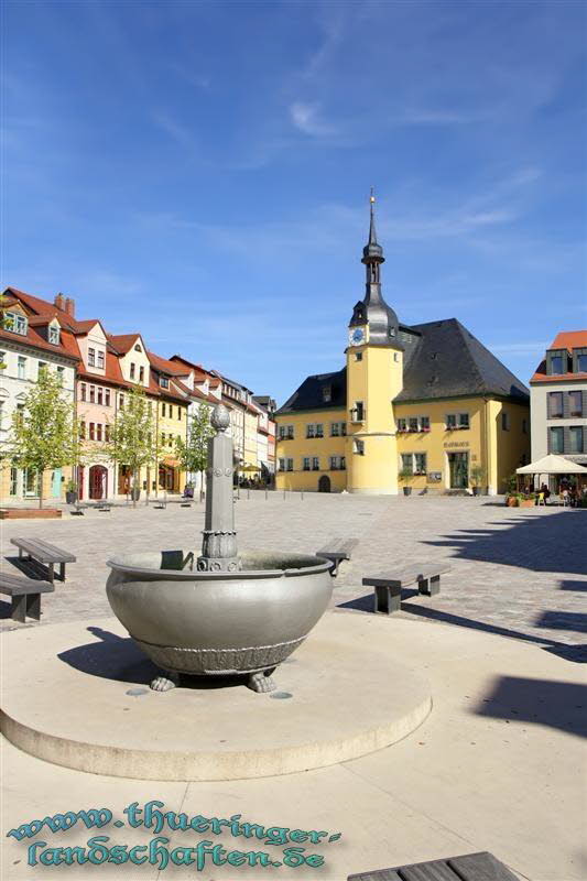 Marktbrunnen & Rathaus