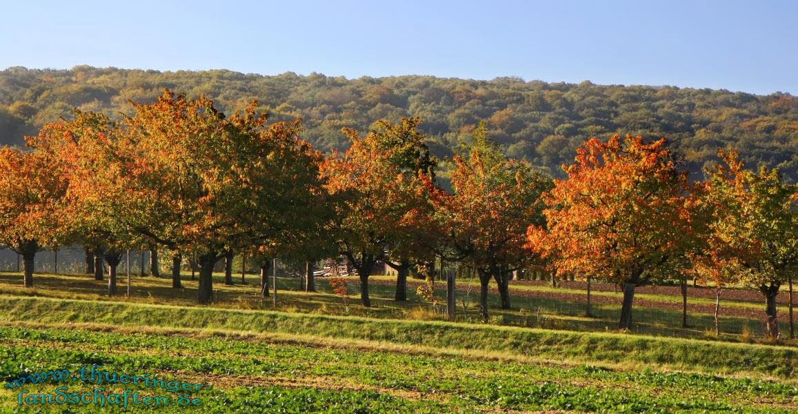 Landschaft bei Kleinfahner