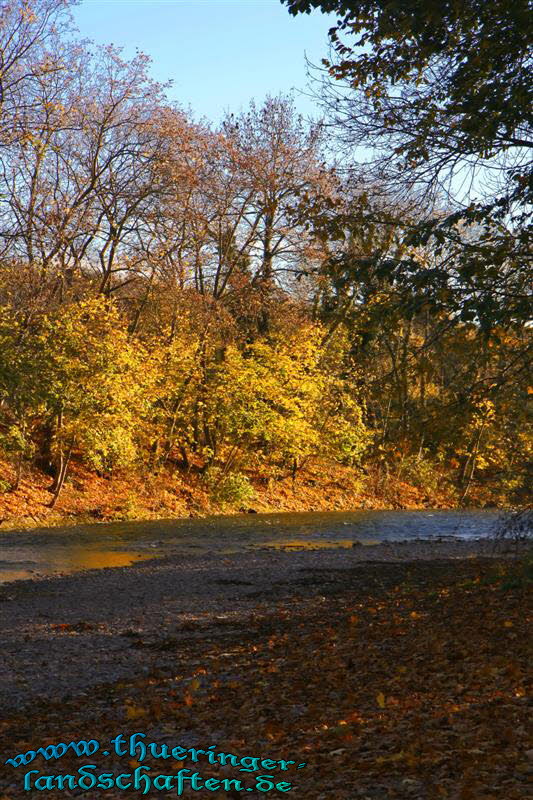 Die Gera im Dreibrunnenpark in Erfurt