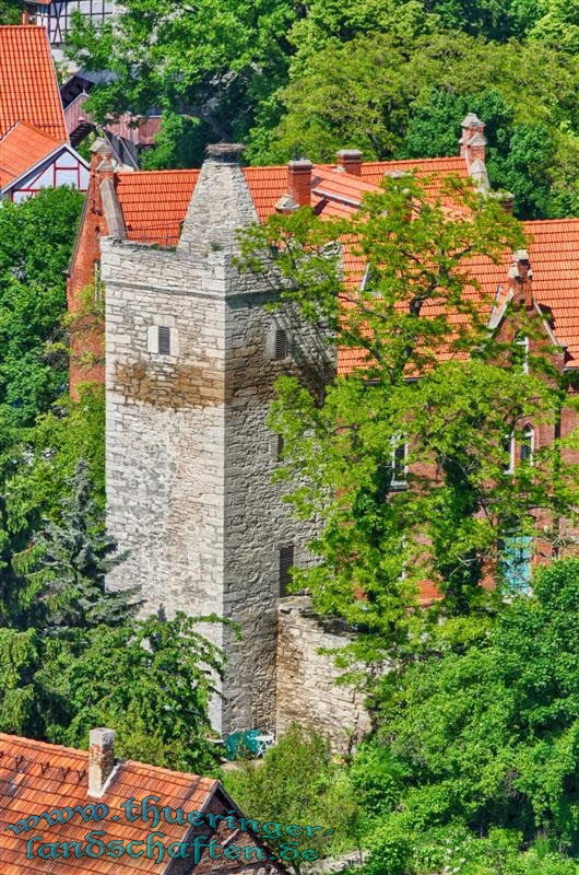 Marktkirchenblick (Storchennestturm)