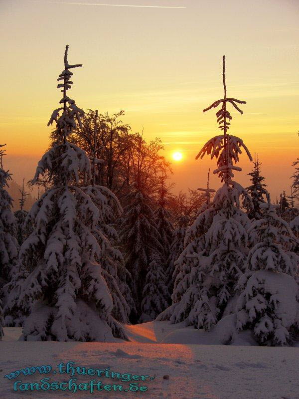 Sonnenuntergang Winterwald beim Oberbecken PSW Goldisthal