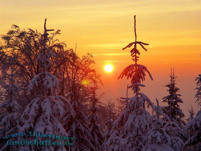 Sonnenuntergang Winterwald beim Oberbecken PSW Goldisthal