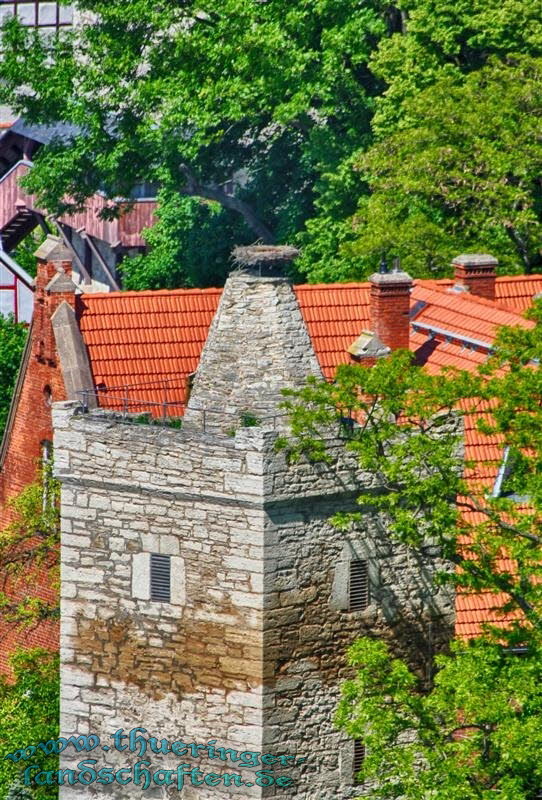 Marktkirchenblick (Storchennestturm)