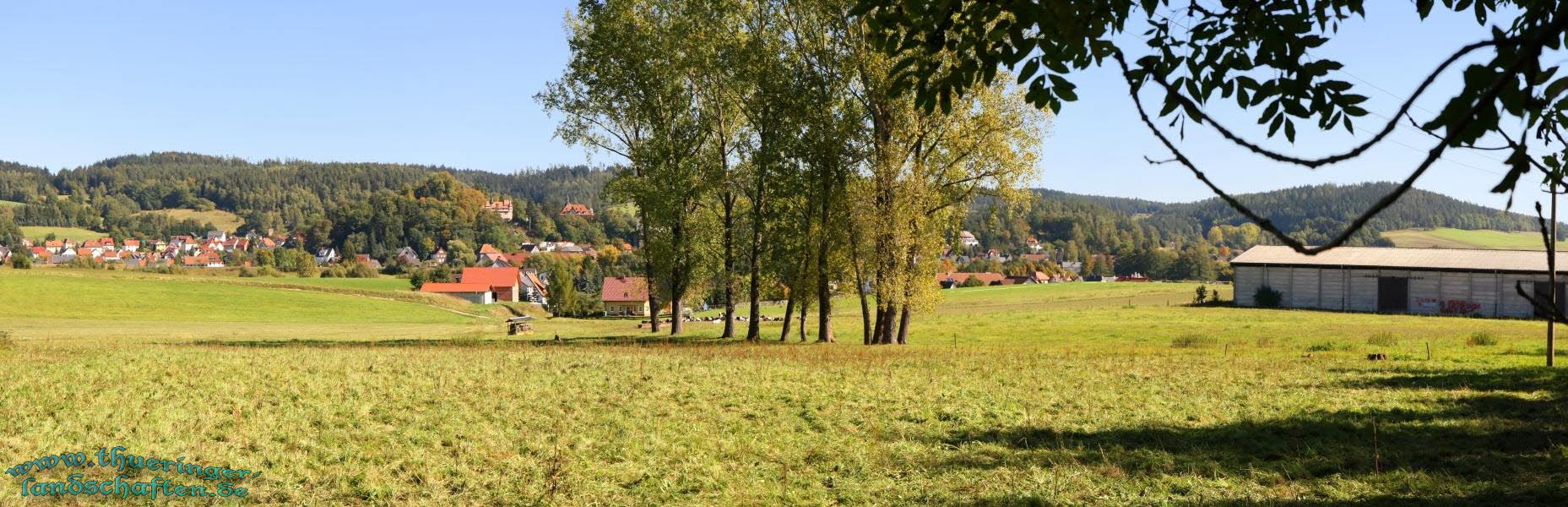 Blick auf Neuhaus- Schierschnitz