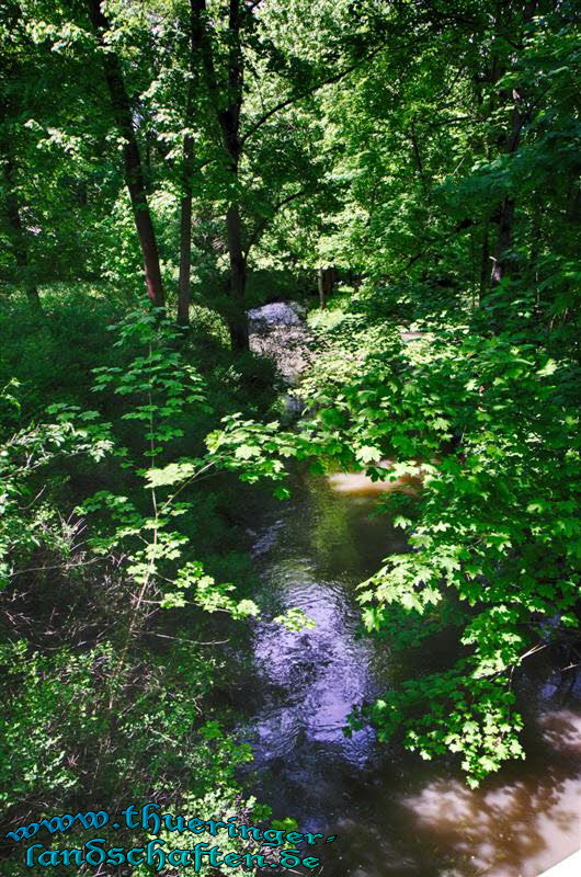 Schlosspark Schloss Elisabethenburg