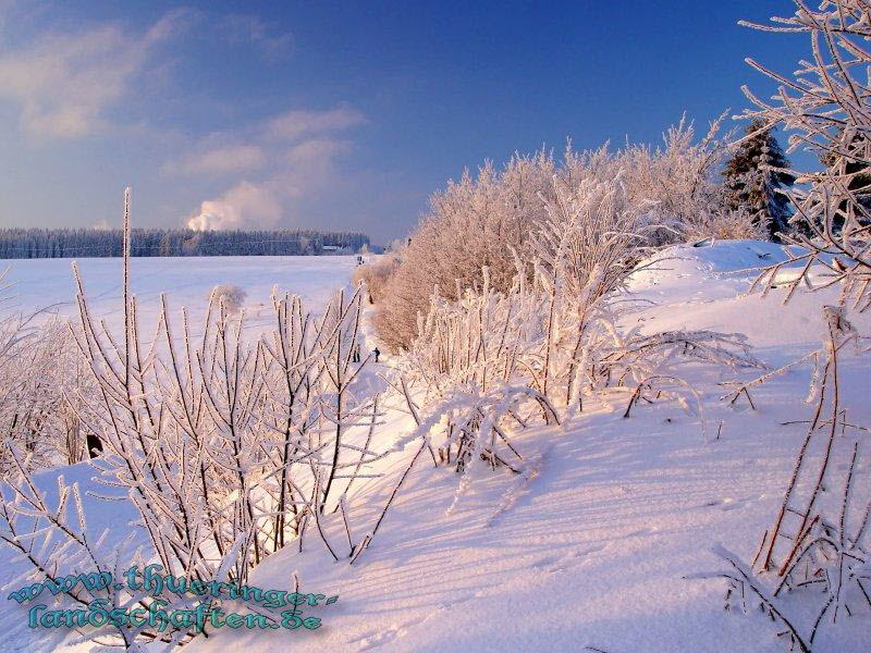 Winterlandschaft, Rennsteig bei Neuhaus/ Rwg.