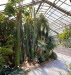 Botanischer Garten