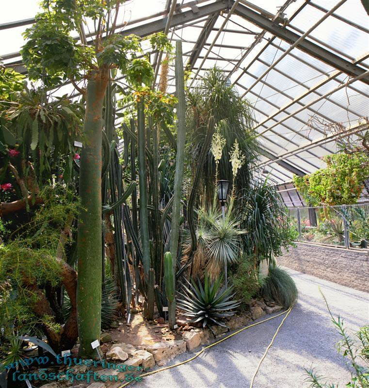 Botanischer Garten