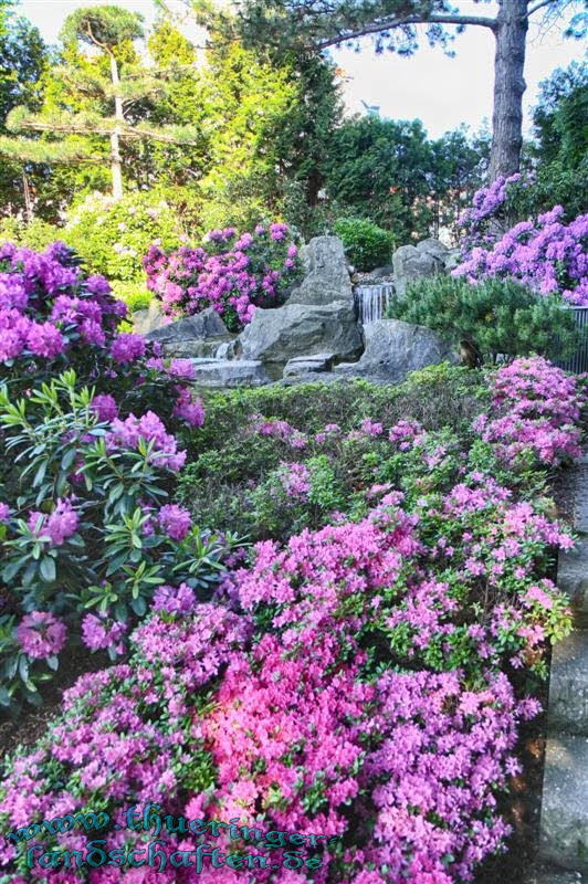 Japanischer Garten