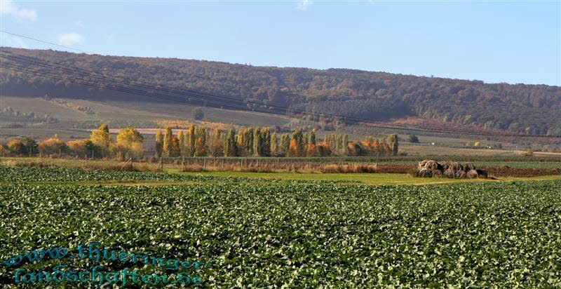 Landschaft bei Dachwig