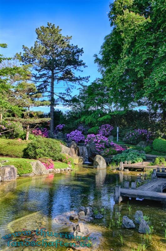 Japanischer Garten