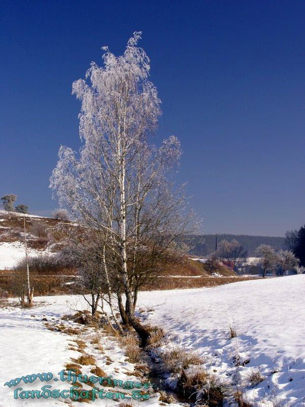 Mhlbach bei Wiedersbach