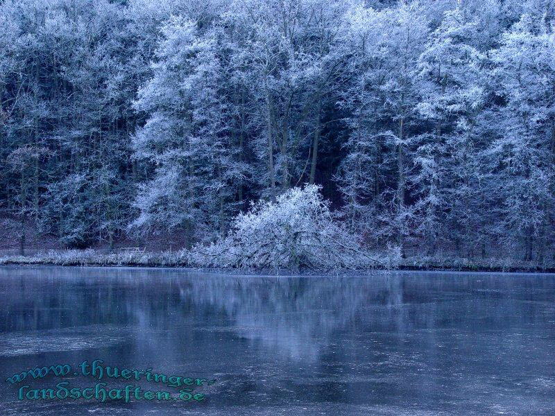 Winterlandschaft bei Paulinzella