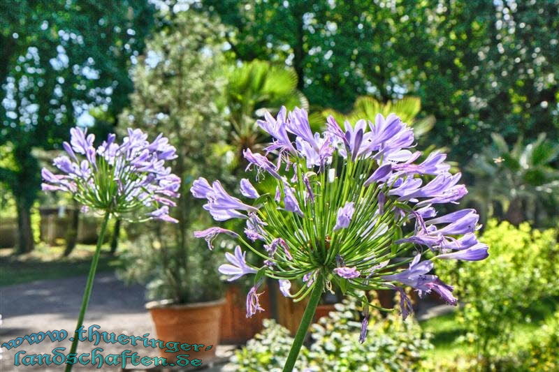 Botanischer Garten