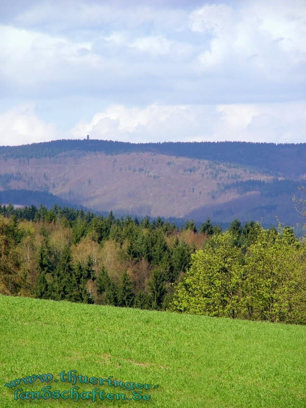 Adlersberg (Blick vom Haard aus)