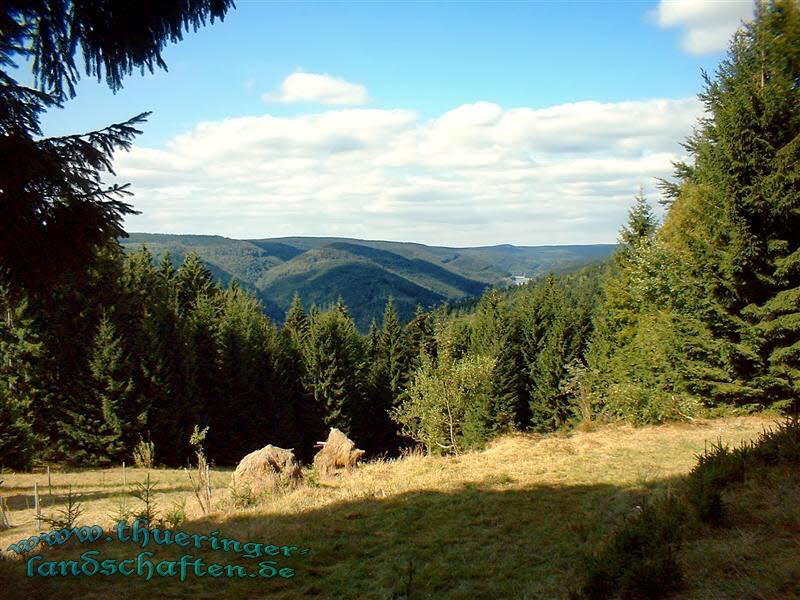 Blick in Richtung Talsperre Schnbrunn