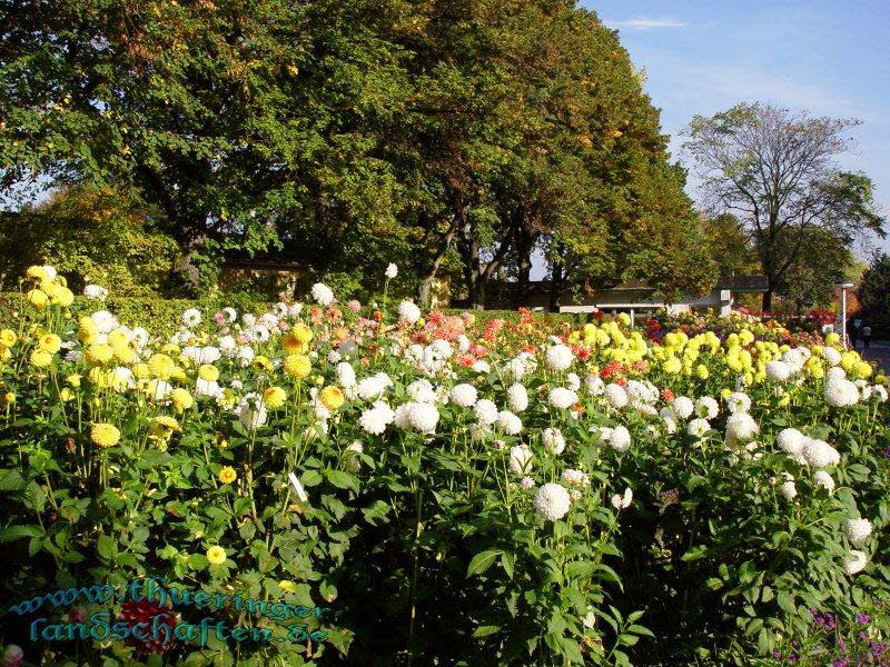 Die Flora auf dem egapark