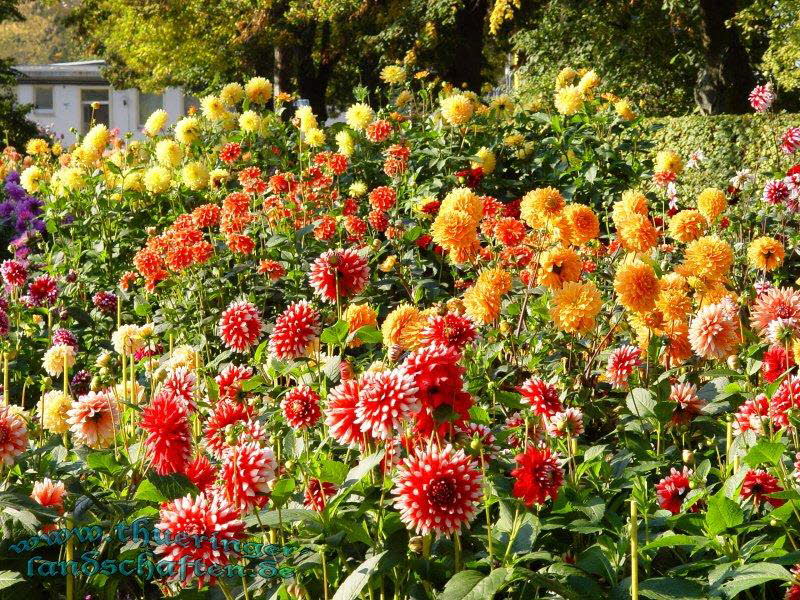 Die Flora auf dem egapark