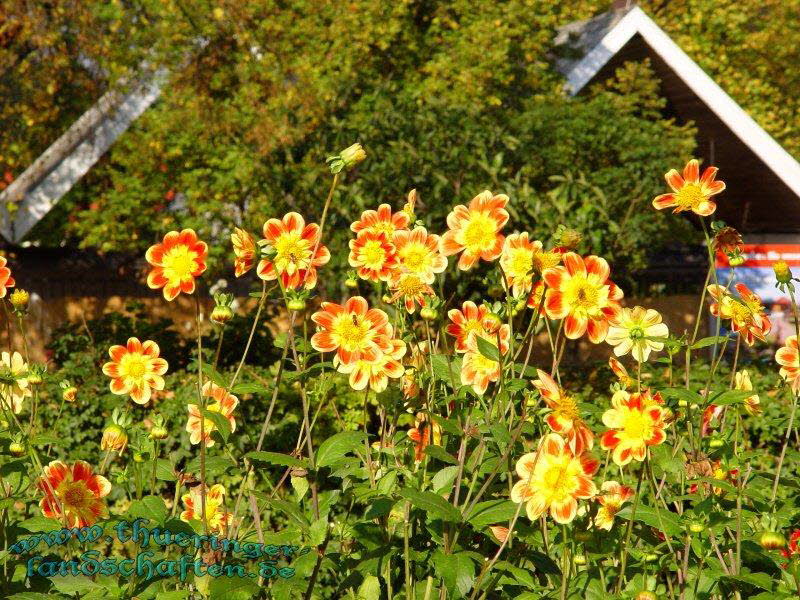 Die Flora auf dem egapark