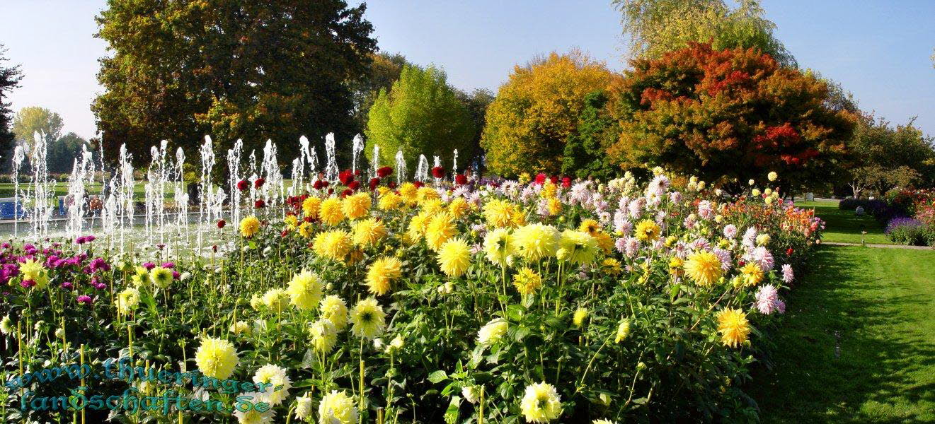 Die Flora auf dem egapark