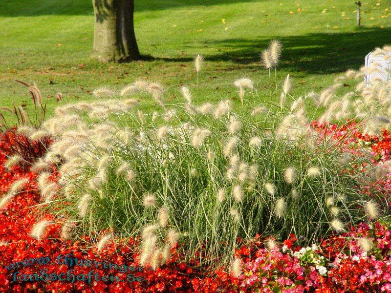 Die Flora auf dem egapark