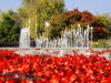 Die Flora auf dem egapark