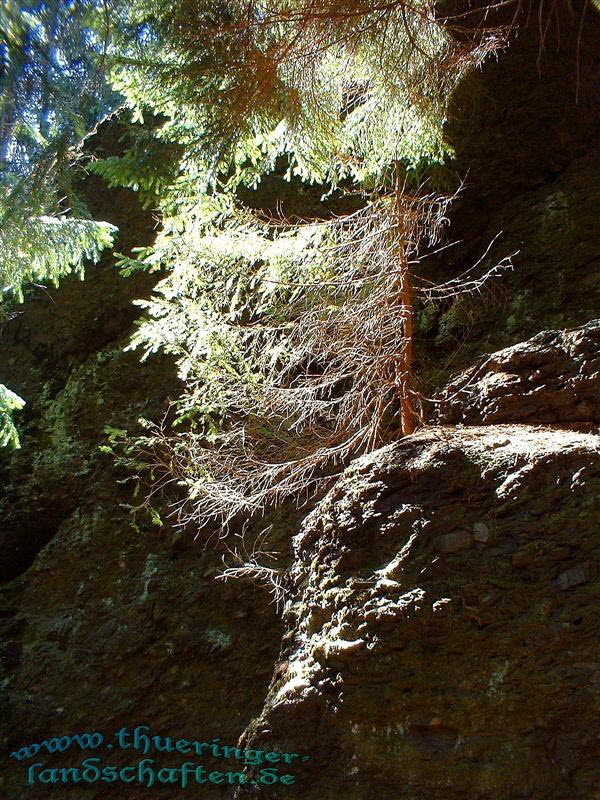 Die Giebler Schweiz - Schrderfelsen