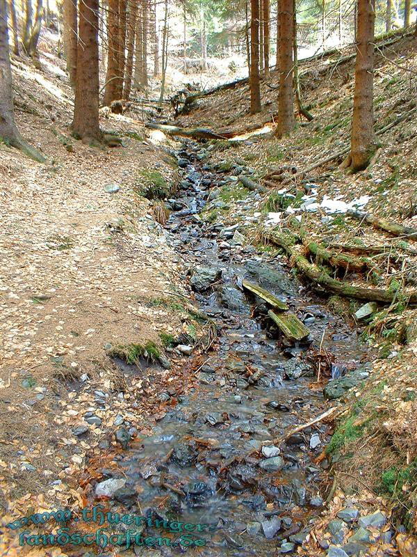 Die Giebler Schweiz - Das Neuntal