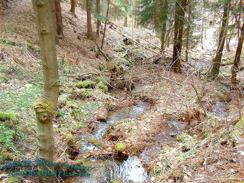 Die Giebler Schweiz - Das Neuntal