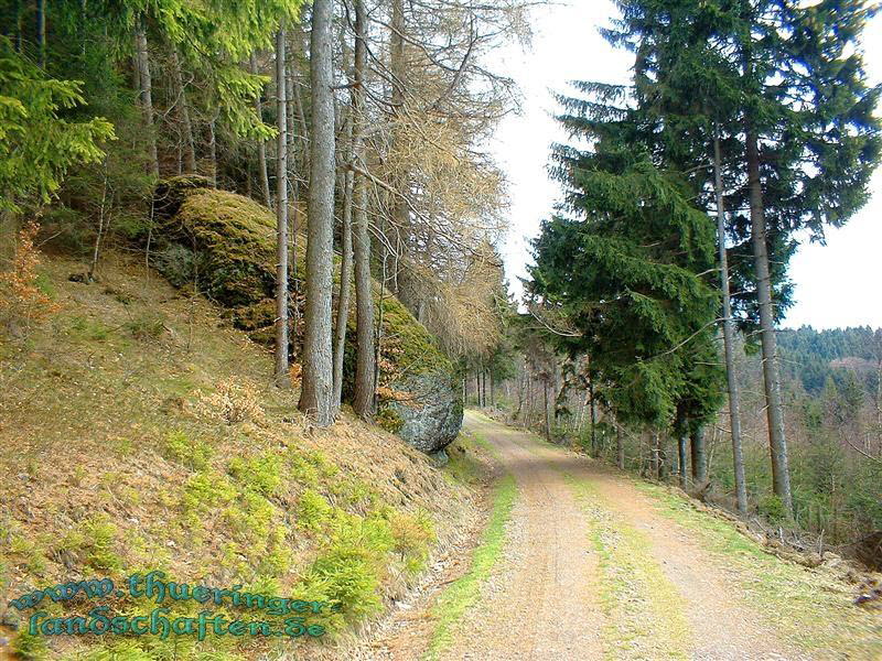 Die Giebler Schweiz