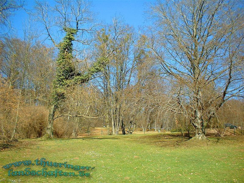 Schlopark Altenstein