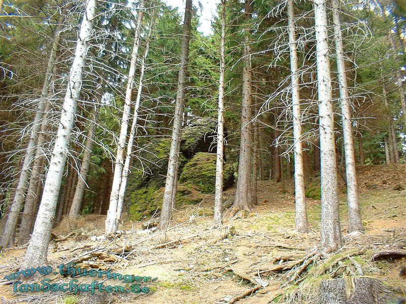 Die Giebler Schweiz - Nadelhrfelsen